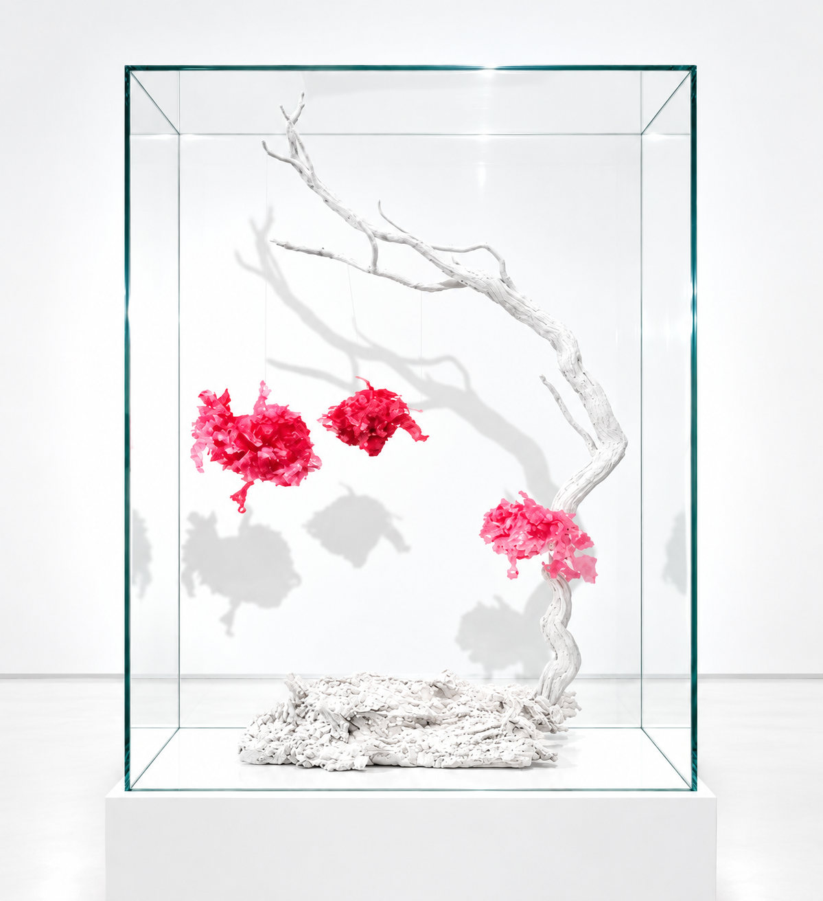 Pink Under the Sea