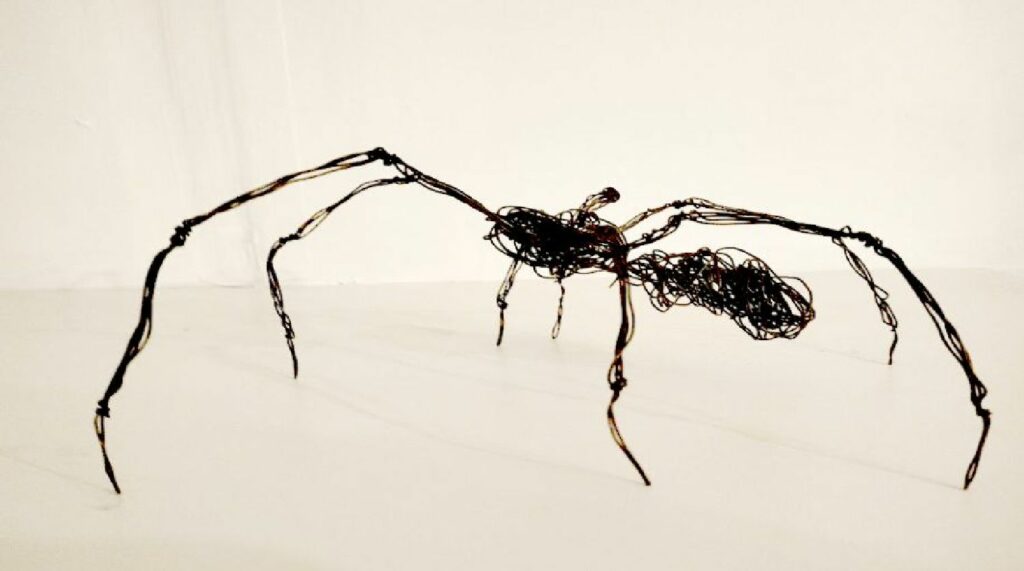 Spider