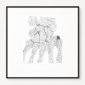 Arthropod-E