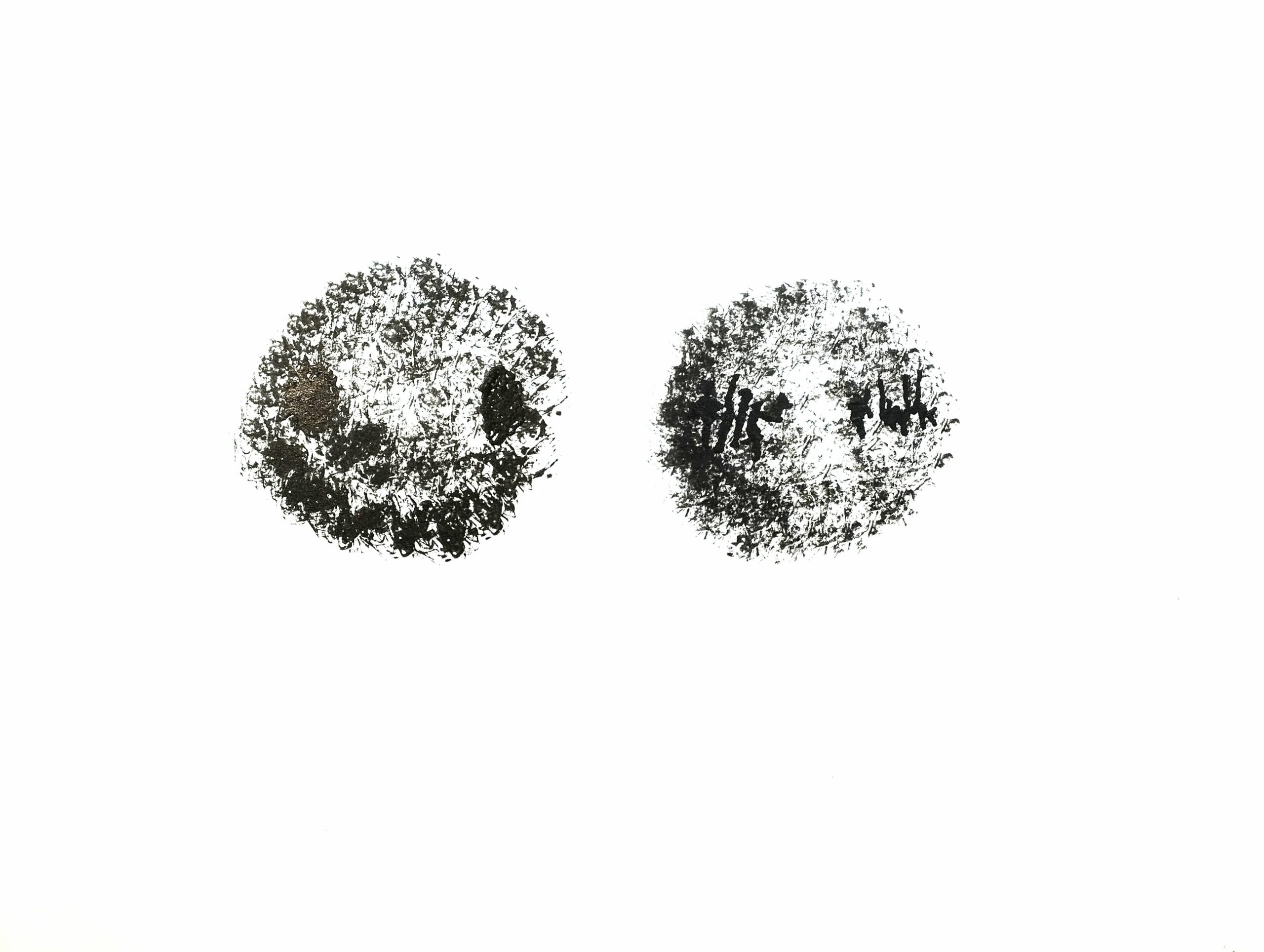 Twins – Image 2