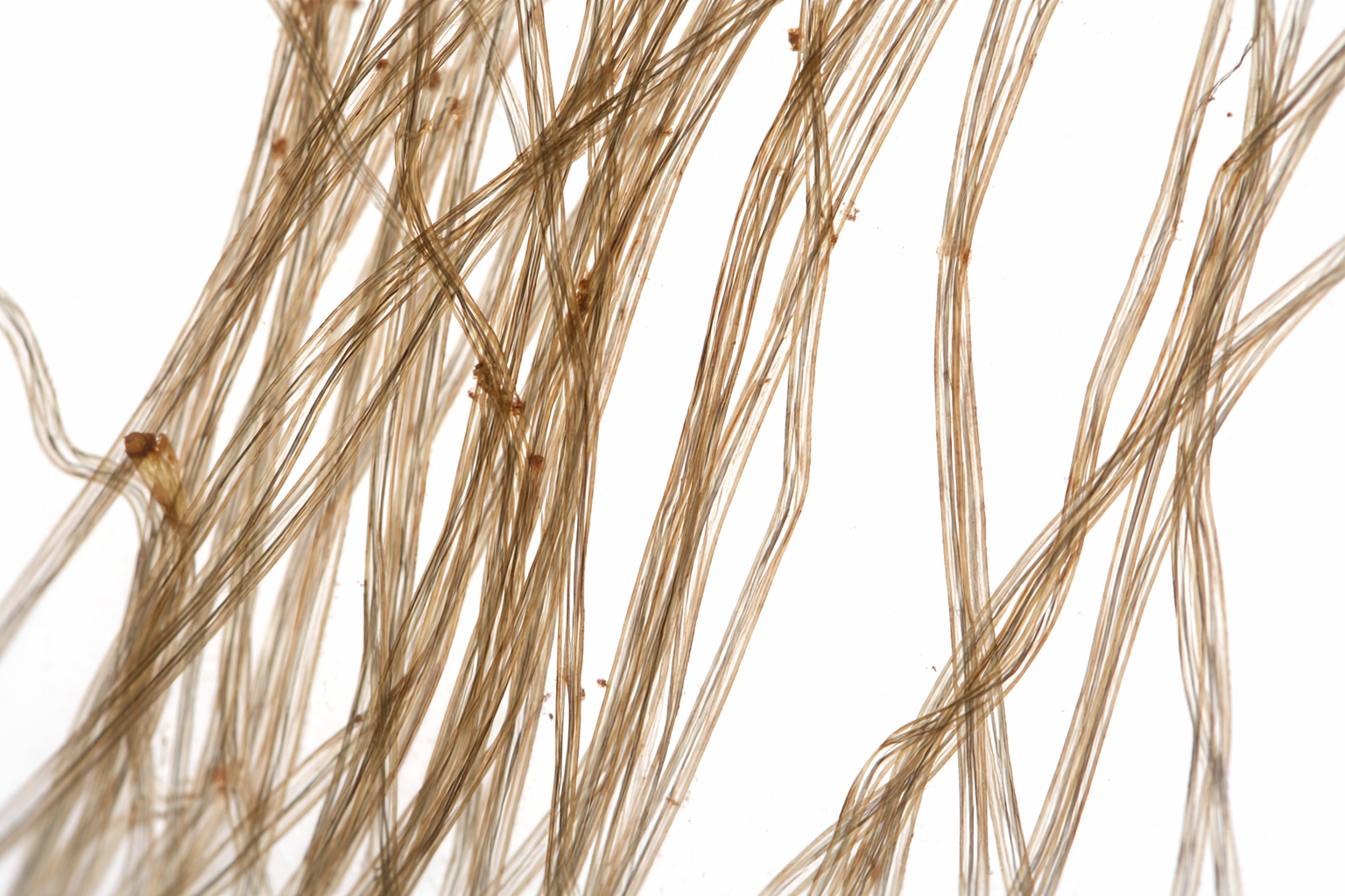 Série : micropollute – Image 7