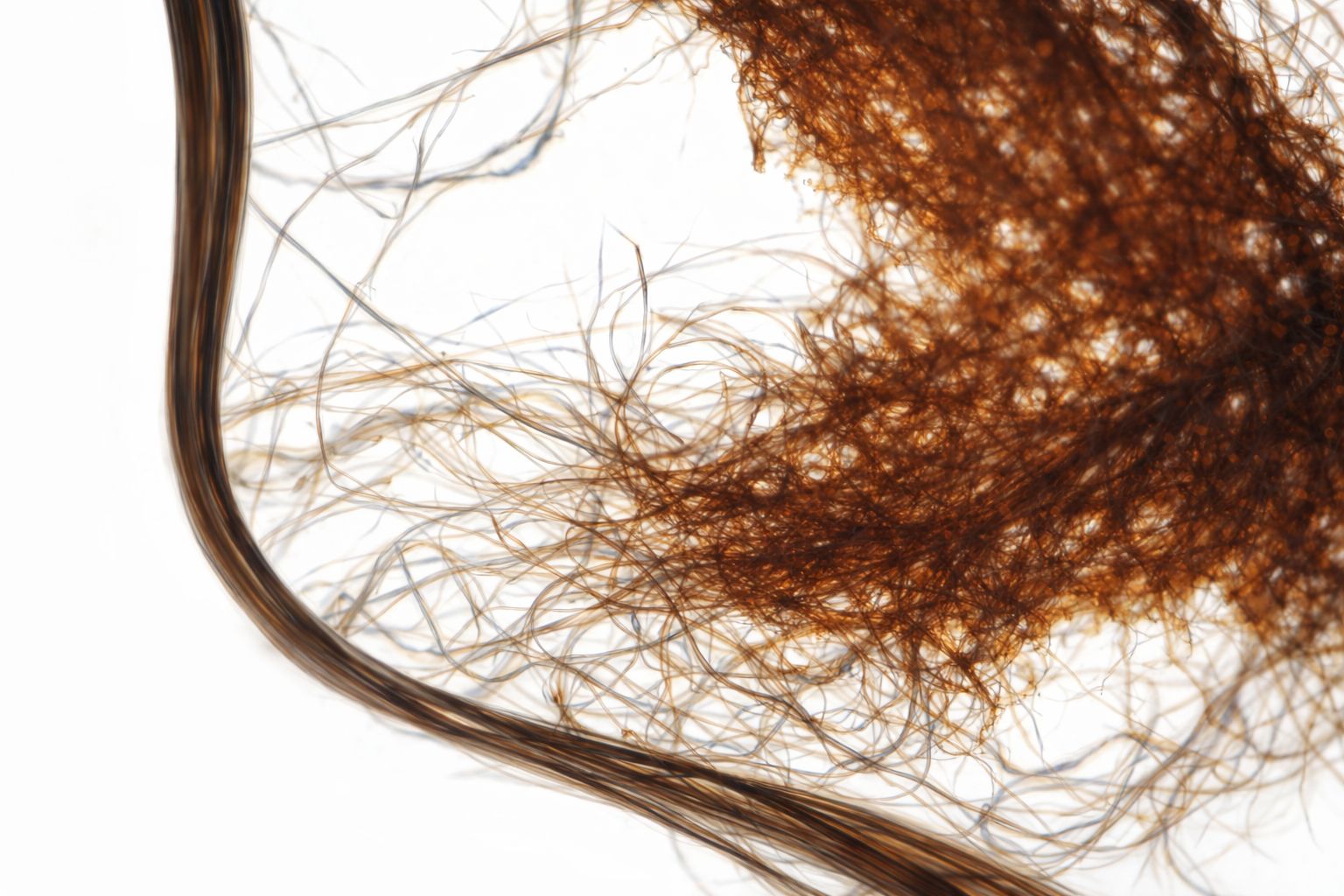 Série : micropollute – Image 8
